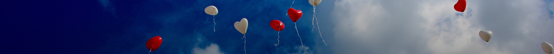 今年会 | 官方网站