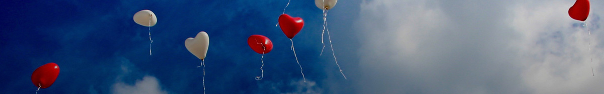 今年会 | 官方网站